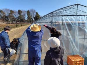 ハウスの入り口のビニールを留めている画像