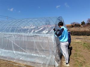 ハウスの後ろを留めている画像