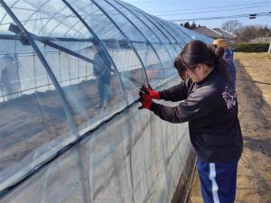 スプリングで天井のビニールを留めている画像1