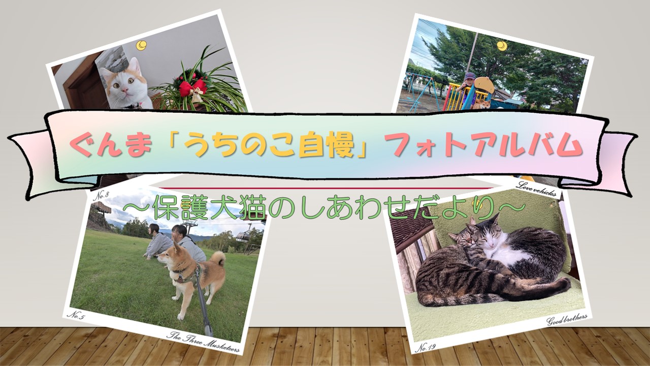 うちのこ自慢フォトアルバムサムネイル