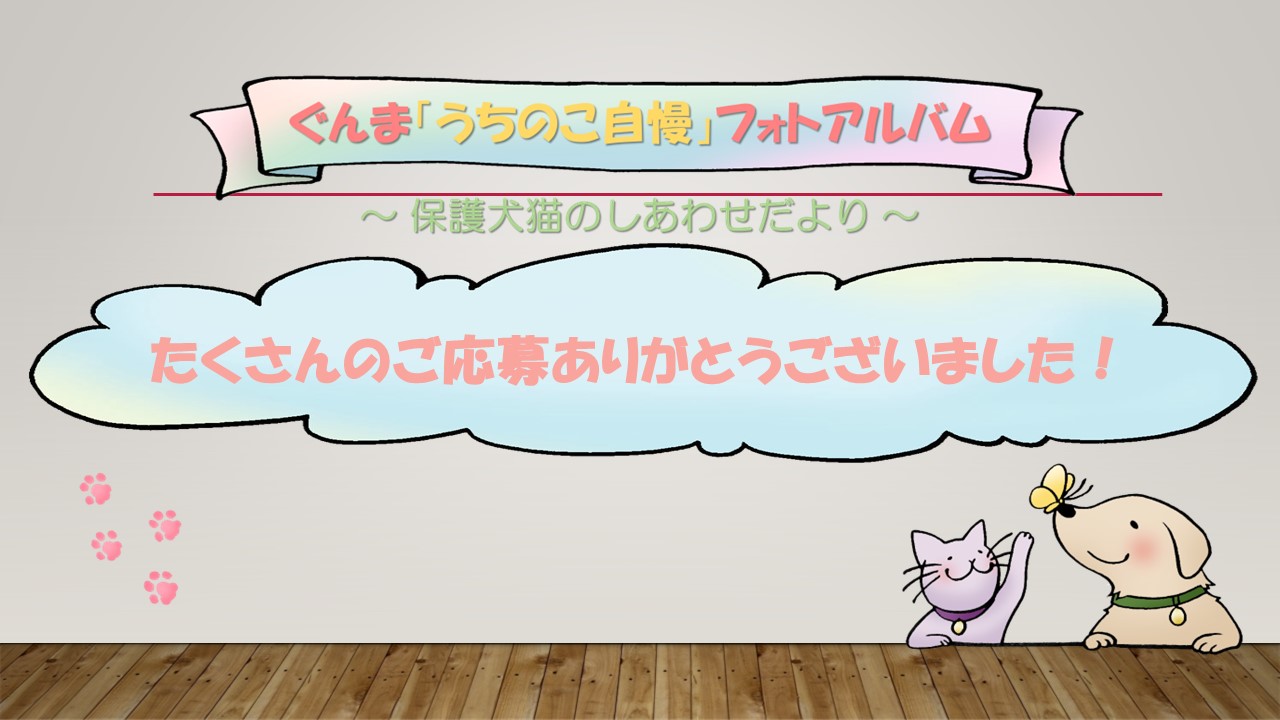 応募ありがとう