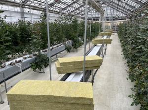 改植作業の準備中の画像