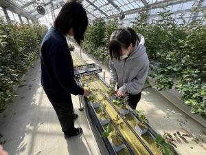 改植作業中の画像