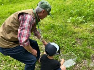 捕まえた昆虫を逃がしている場面