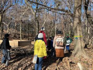 オオムラサキ幼虫調査