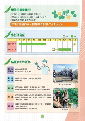 パンフレット_wed用_3画像