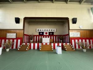 飾られた花木の画像