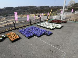 納品の様子の画像3