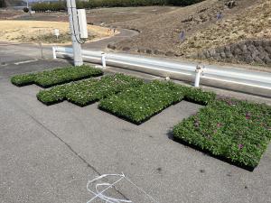 納品の様子の画像4