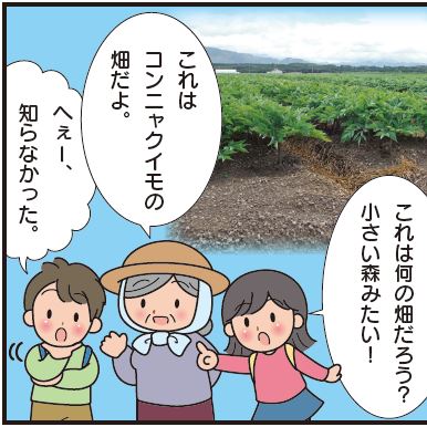 群馬の作物2コマ目画像