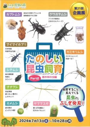第20回企画展　たのしい昆虫飼育　Part2