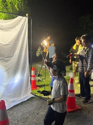 夜の観察会ライトトラップ
