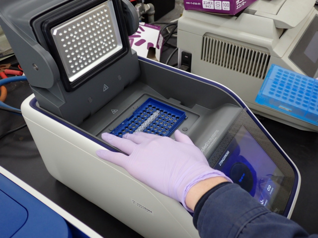 Ｐｃｒ検査の写真2