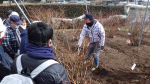 剪定のデモンストレーションの様子写真