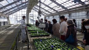 花き栽培現場の見学の様子写真