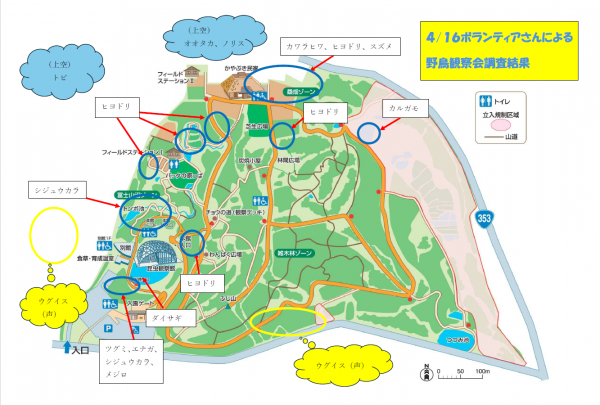 野鳥観察会（4月16日）結果