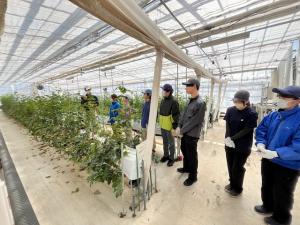 バラの収穫の画像