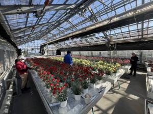 ラベル付けの画像