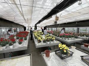 販売準備1の画像