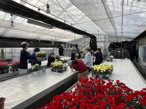 販売準備の画像