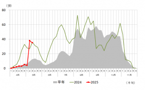 前橋市江木町での誘殺数を表したグラフの画像