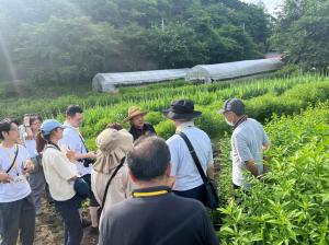 六合地区の見学の様子の写真