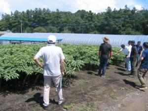 審査の様子の写真