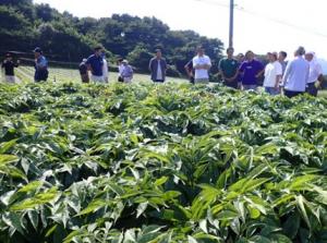 現地ほ場視察の様子の写真