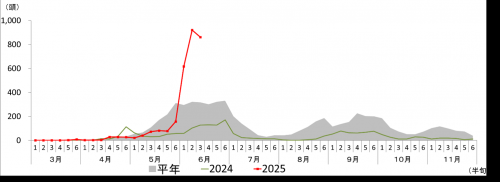 有翅アブラムシ類のトラップへの飛来量（誘殺数）の推移画像