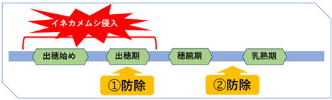 防除体系の画像