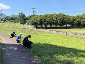 作業の様子２の写真