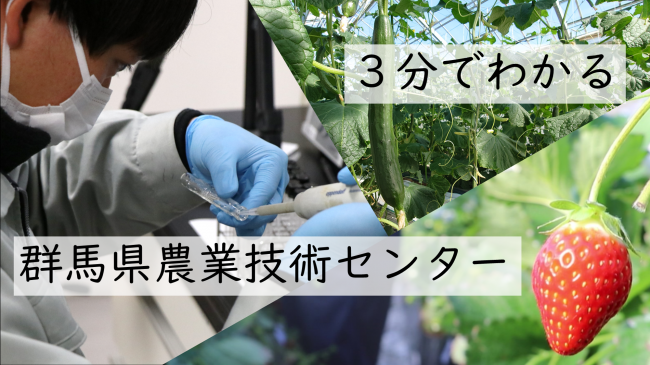 サムネイル（３分でわかる群馬県農業技術センター）