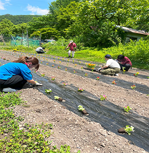 花植えの様子画像