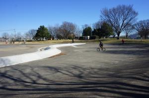 近藤沼公園（指定エリアのみ）の画像