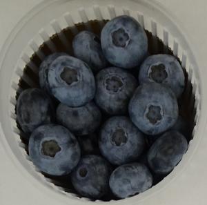 昨年上位入賞したブルーベリーの写真