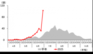 中之条町のチャバネアオカメムシのフェロモントラップへの誘殺状況のグラフの画像