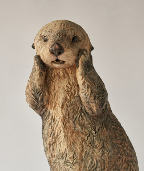 メイちゃん（ラッコ）の写真