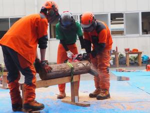 チェーンソーの体験の様子の写真