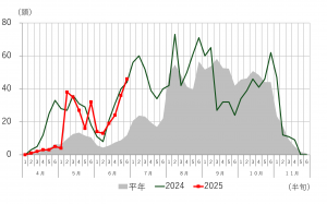 オオタバコガの誘殺数の推移　前橋市江木の画像
