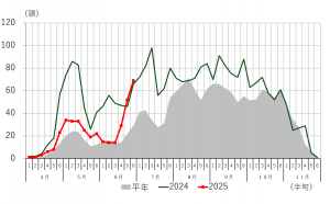 オオタバコガの誘殺数の推移　藤岡市の画像