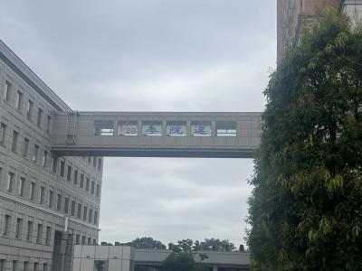 県庁舎連絡通路ディスプレイ