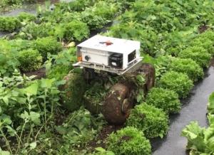 畝間対応小型草刈ロボット「ウネカル」の画像