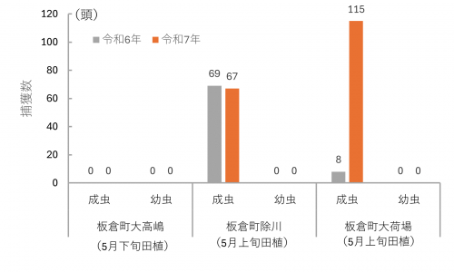 イネカメムシの水田内すくい取り調査捕獲数の画像