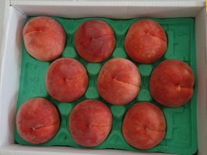 昨年上位入賞したももの画像