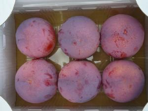 昨年上位入賞したプラムの画像