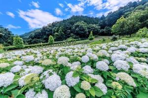 motophoto_gunmaさん,観音山ファミリーパーク（高崎市）