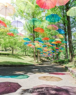 @mochi1photoさん,甘楽総合公園（甘楽町）