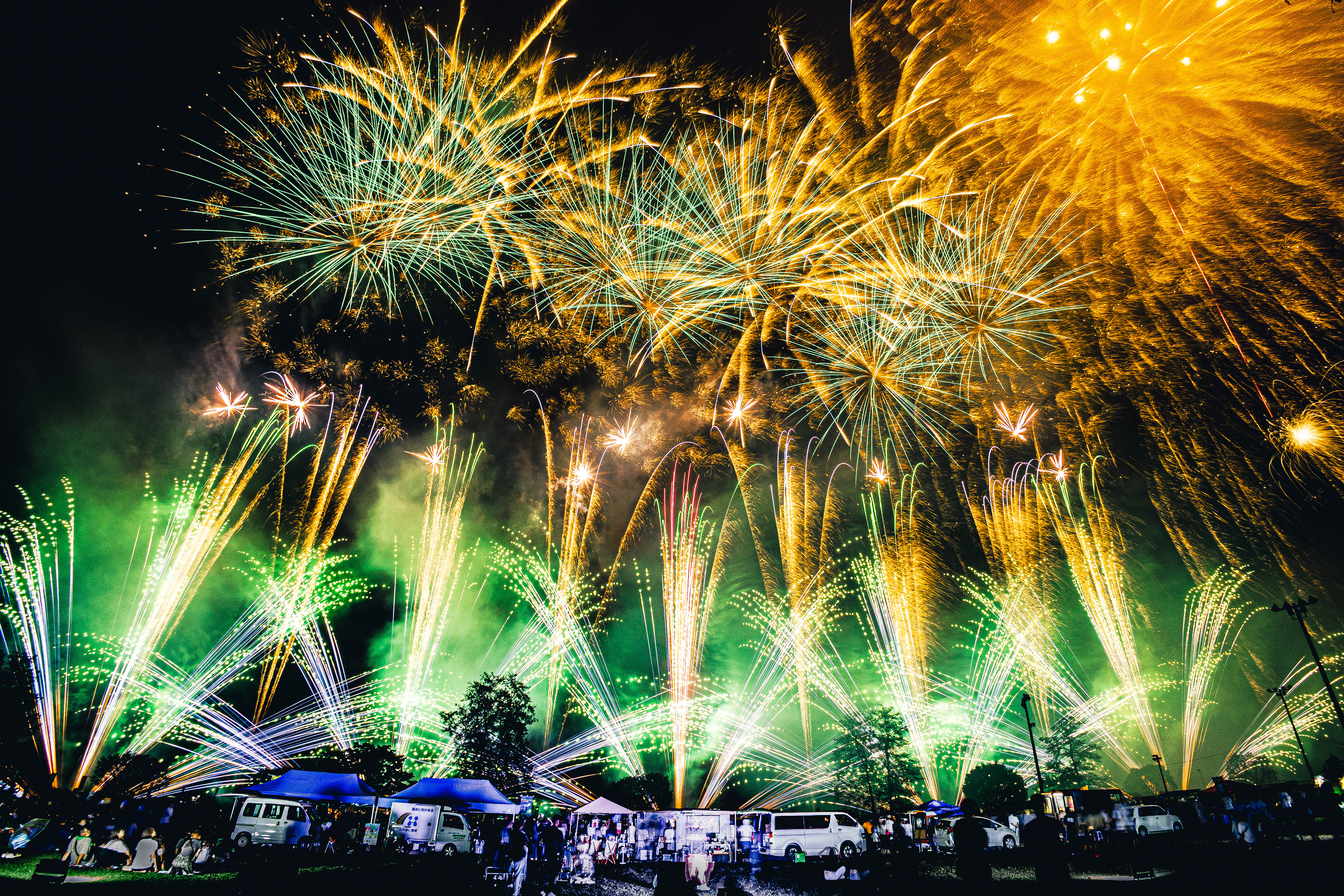 群馬県知事賞 ふるさとに咲く大輪の花の写真