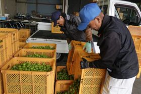 加工業者の写真