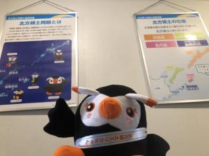 パネル展の様子画像